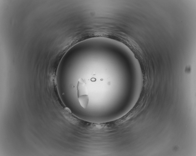 X0000091370329200708101537