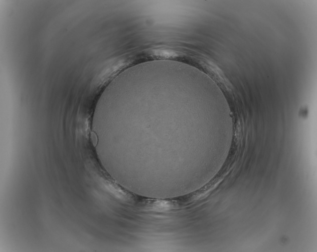 X0000091370330200708101537