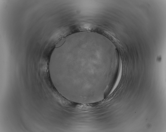 X0000091370331200708101537