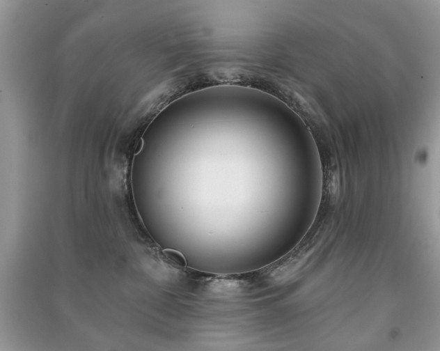 X0000091370332200708101537