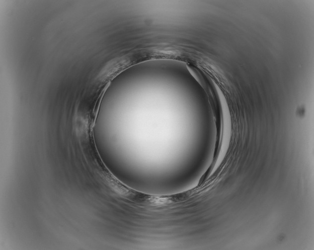 X0000091370333200708101537