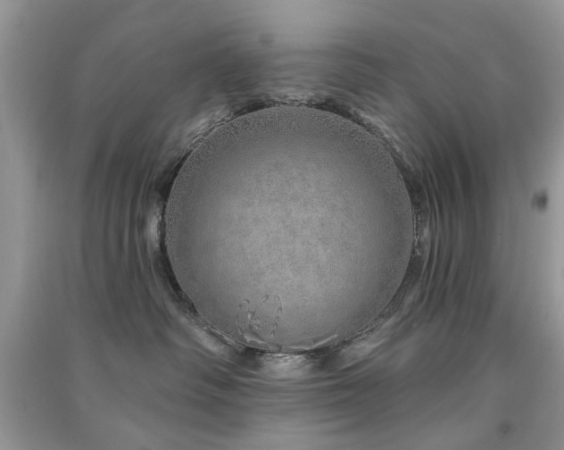 X0000091370334200708101537