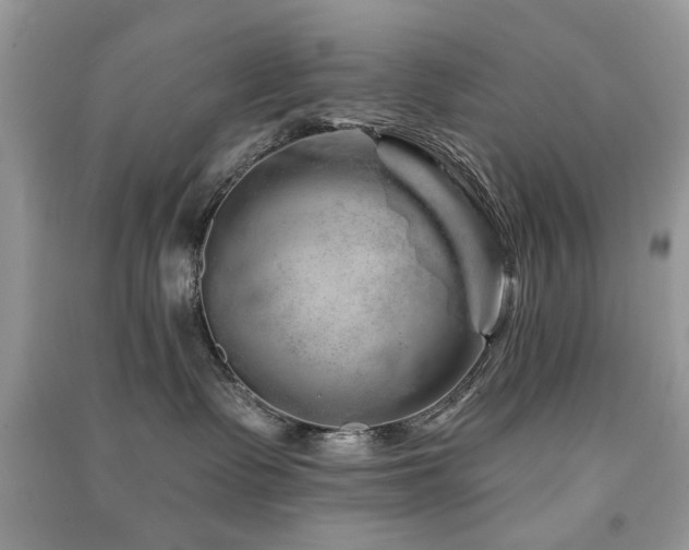 X0000091370335200708101537