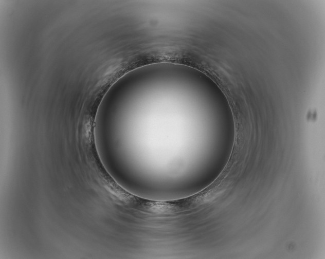 X0000091370336200708101537