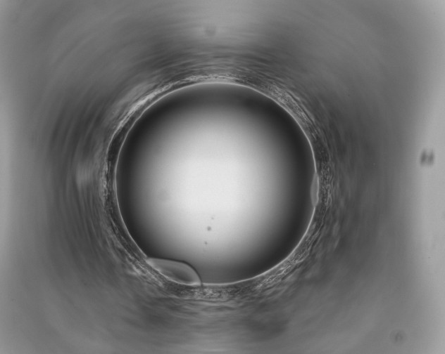 X0000091370338200708101537