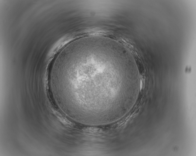 X0000091370339200708101537