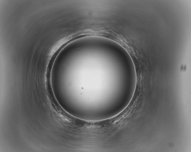 X0000091370340200708101537