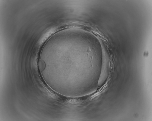 X0000091370341200708101537