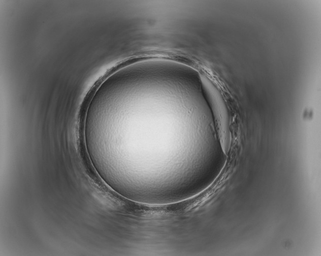 X0000091370342200708101537