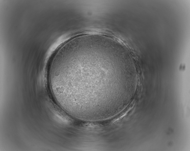 X0000091370343200708101537