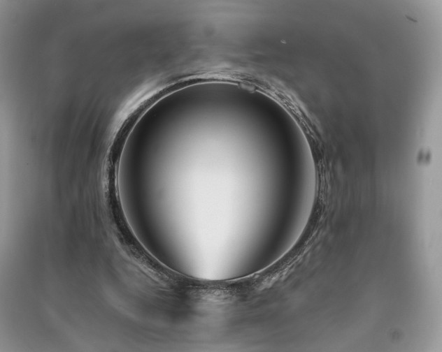 X0000091370344200708101537