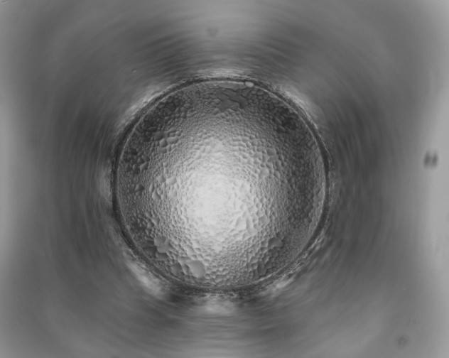 X0000091370345200708101537