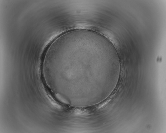 X0000091370346200708101537