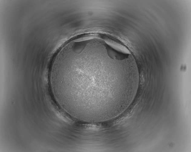 X0000091370347200708101537