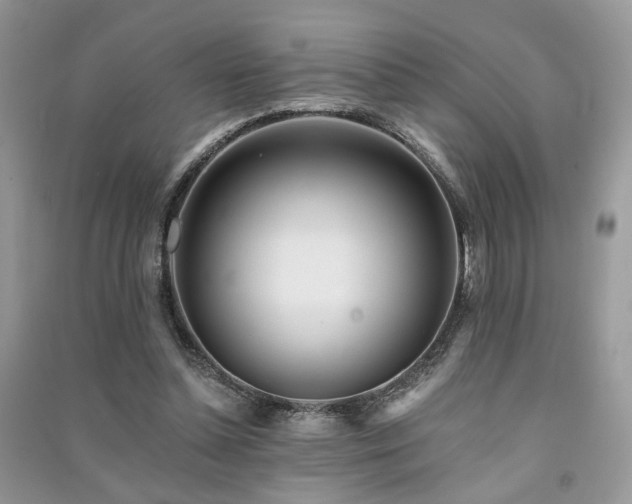 X0000091370348200708101537