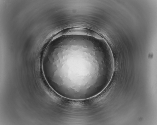 X0000091370349200708101537