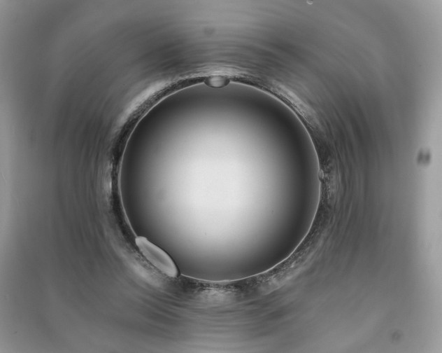 X0000091370350200708101537