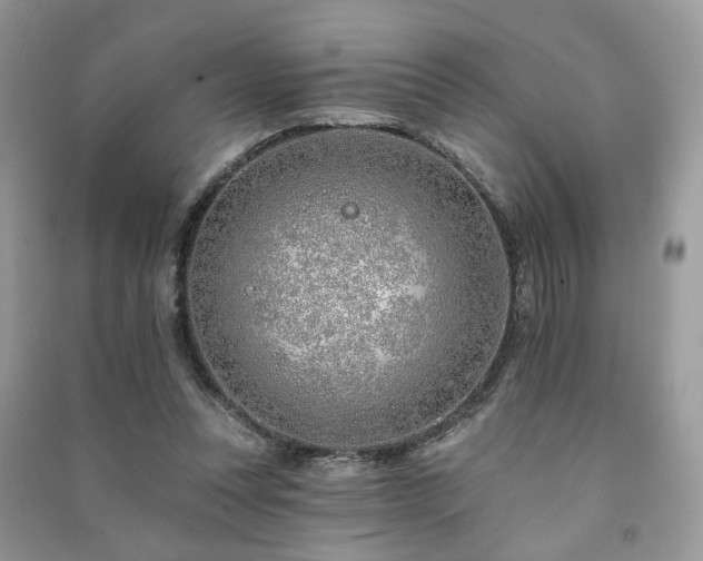 X0000091370351200708101537