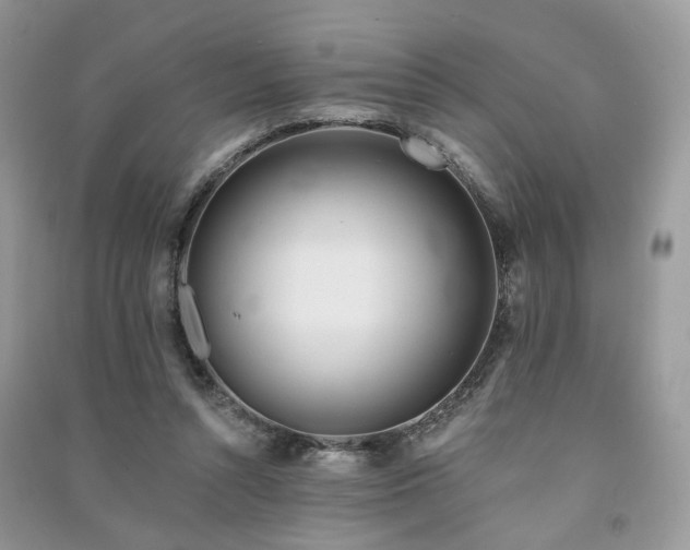 X0000091370352200708101537