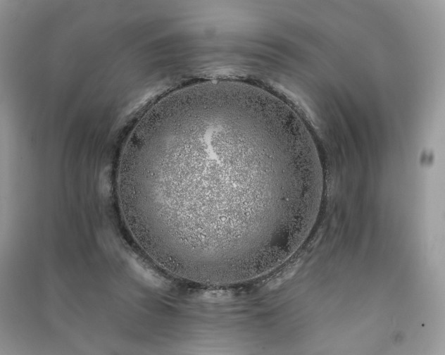 X0000091370353200708101537