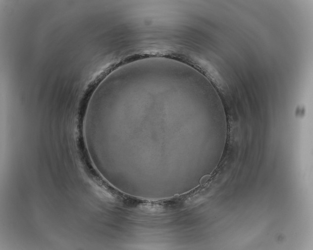 X0000091370354200708101537