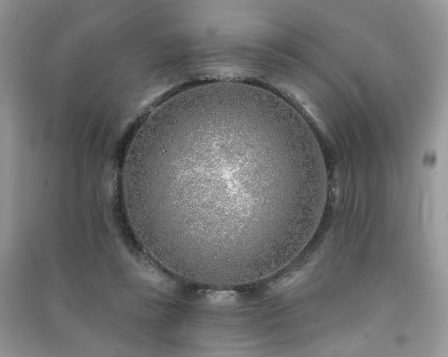 X0000091370355200708101537