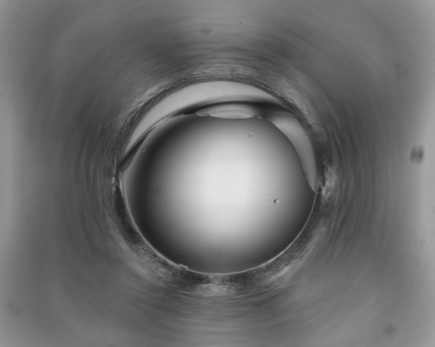 X0000091370356200708101537