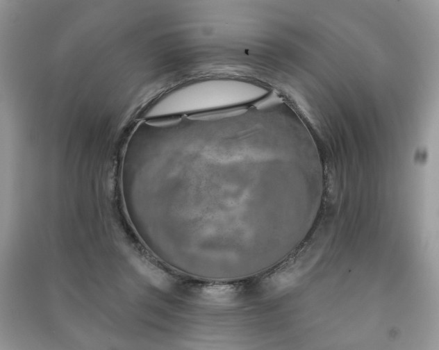 X0000091370357200708101537