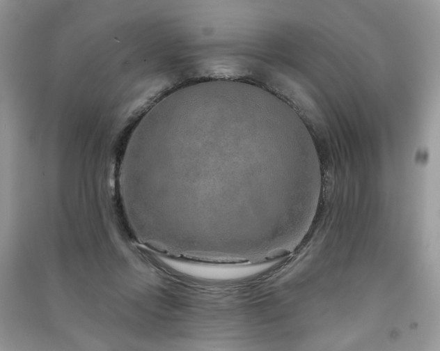 X0000091370358200708101537