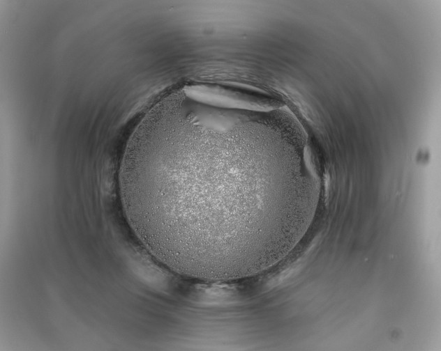 X0000091370359200708101537