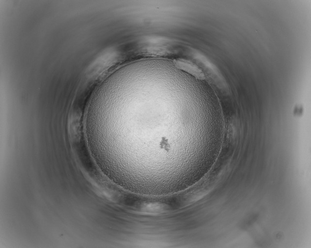 X0000091370360200708101537