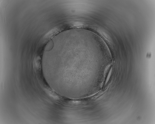 X0000091370361200708101537