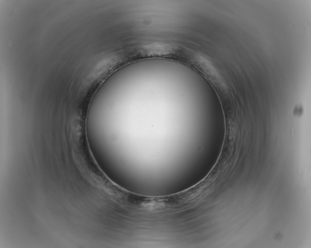 X0000091370362200708101537