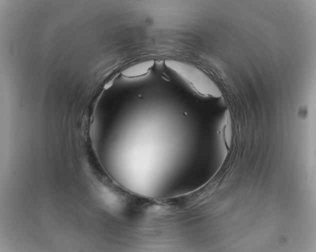 X0000091370364200708101537