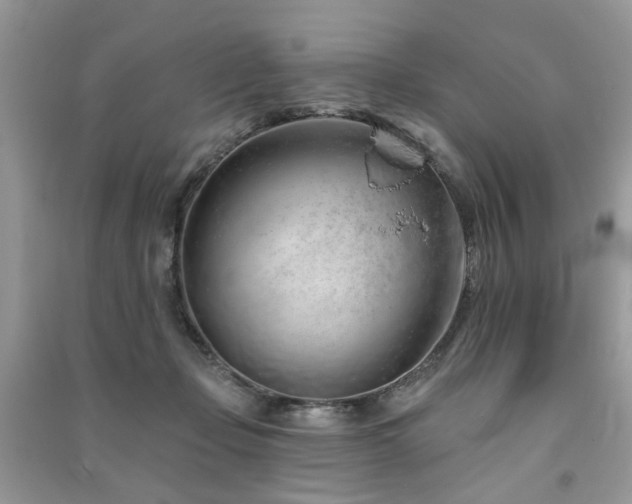 X0000091370365200708101537