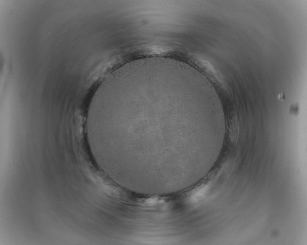 X0000091370366200708101537