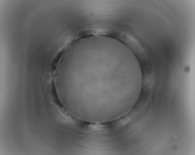 X0000091370367200708101537