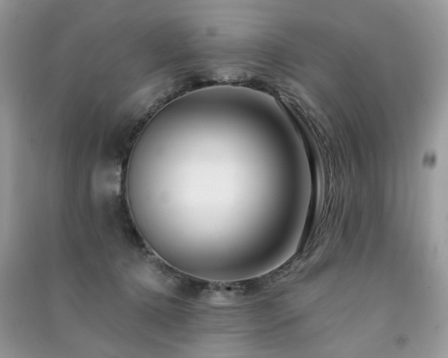 X0000091370368200708101537