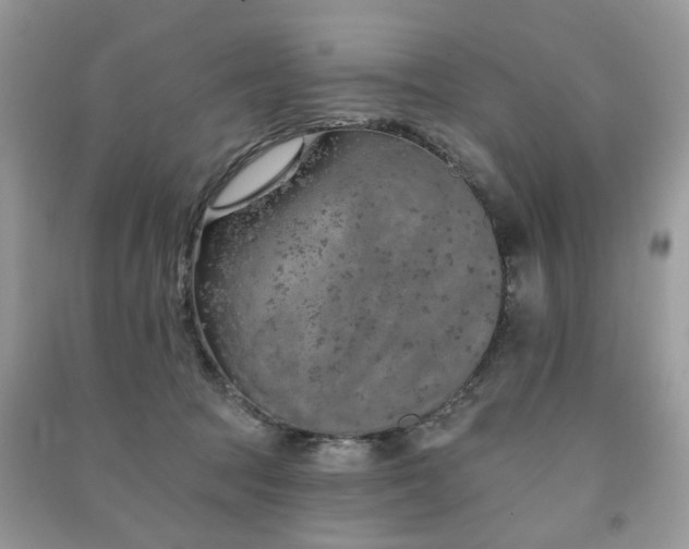 X0000091370369200708101537