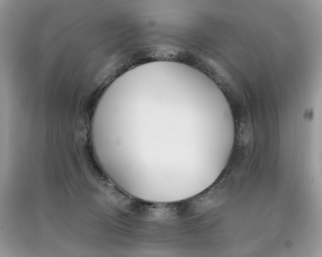 X0000091370370200708101537