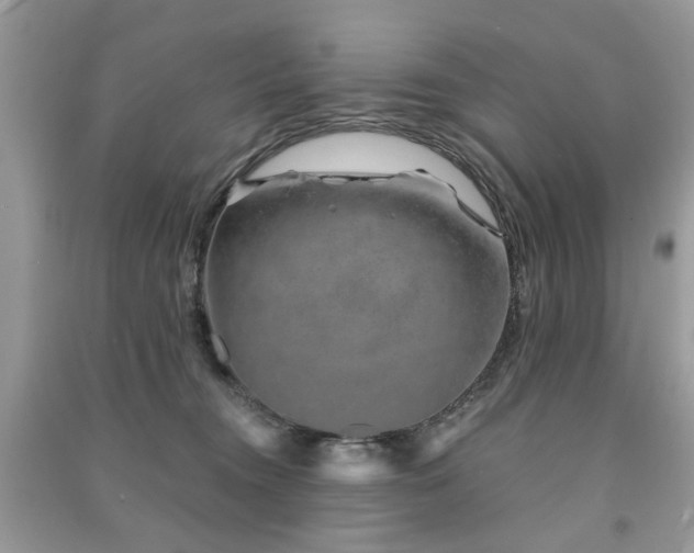 X0000091370372200708101537