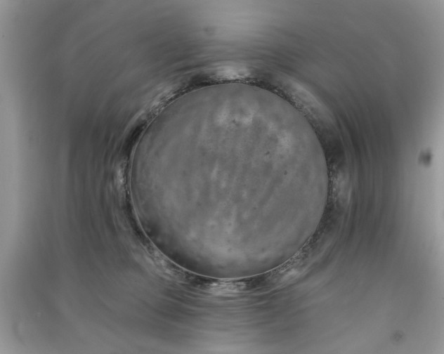 X0000091370373200708101537