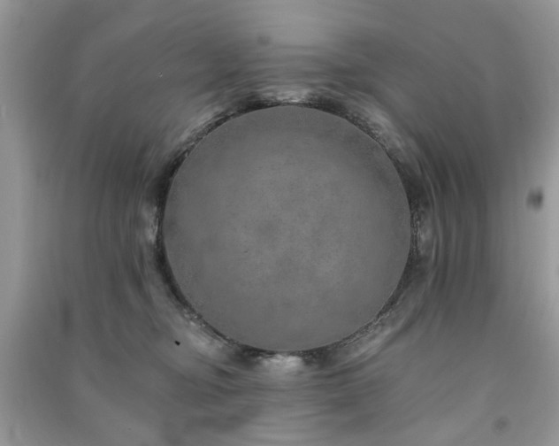 X0000091370374200708101537