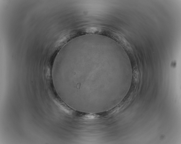 X0000091370375200708101537