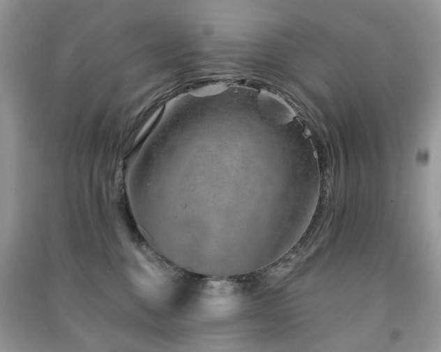 X0000091370376200708101537