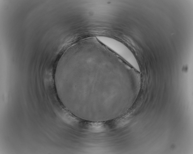 X0000091370377200708101537