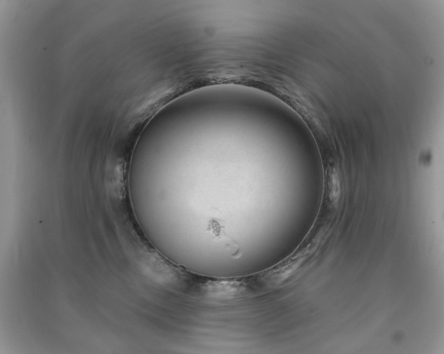 X0000091370378200708101537