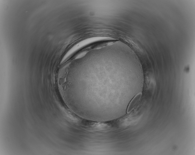 X0000091370379200708101537