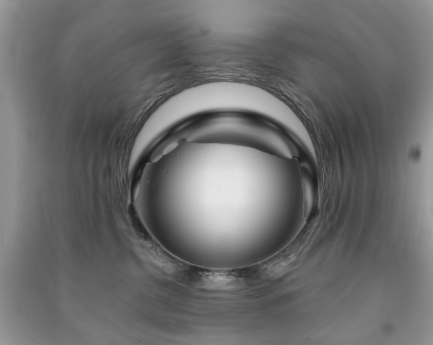 X0000091370380200708101537