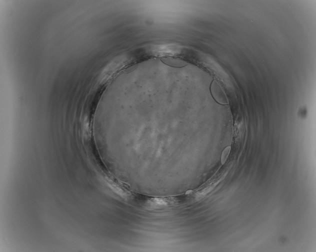 X0000091370381200708101537